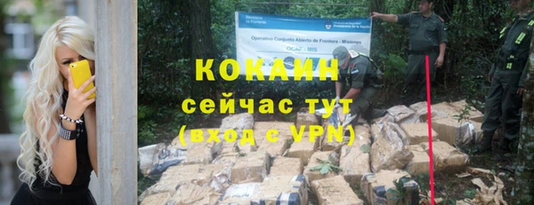 ПСИЛОЦИБИНОВЫЕ ГРИБЫ Лиски