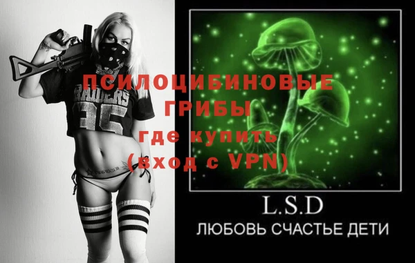 ПСИЛОЦИБИНОВЫЕ ГРИБЫ Лиски