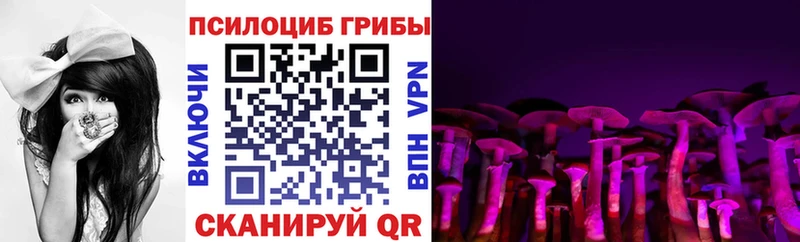 Купить  Тихвин  Галлюциногенные грибы GOLDEN TEACHER 