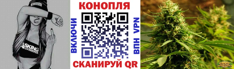 Шишки марихуана планчик  Купить где  Тихвин 