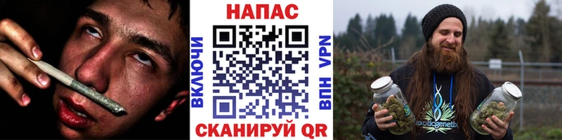 Канабис сатива Тихвин